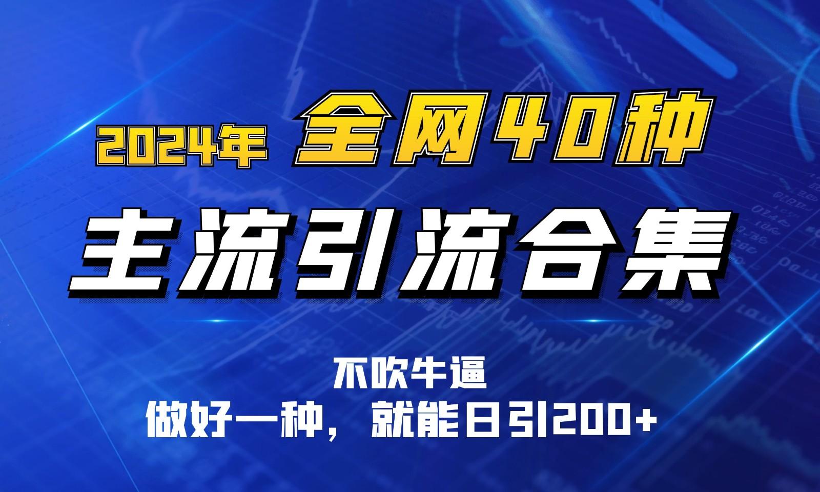 2024年全网40种暴力引流合计，做好一样就能日引100+-优创项目网