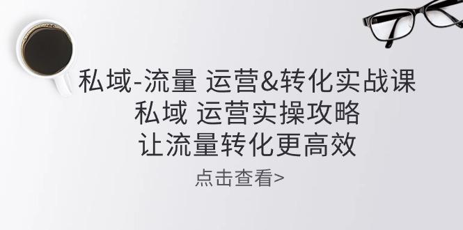 私域-流量 运营&转化实操课：私域 运营实操攻略 让流量转化更高效-优创项目网