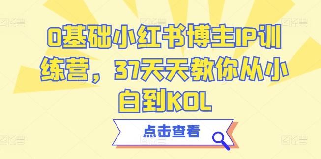 0基础小红书博主IP训练营，37天天教你从小白到KOL-优创项目网