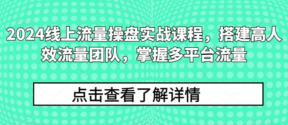 2024线上流量操盘实战课程，搭建高人效流量团队，掌握多平台流量-优创项目网