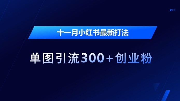 十一月小红书最新打法，单图引流300+创业粉【揭秘】-优创项目网