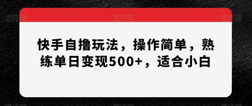 快手自撸玩法，操作简单，熟练单日变现500+，适合小白【揭秘】-优创项目网