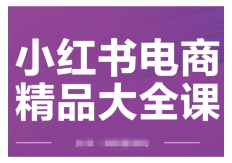 小红书电商精品大全课，快速掌握小红书运营技巧，实现精准引流与爆单目标，轻松玩转小红书电商(更新2月)-优创项目网