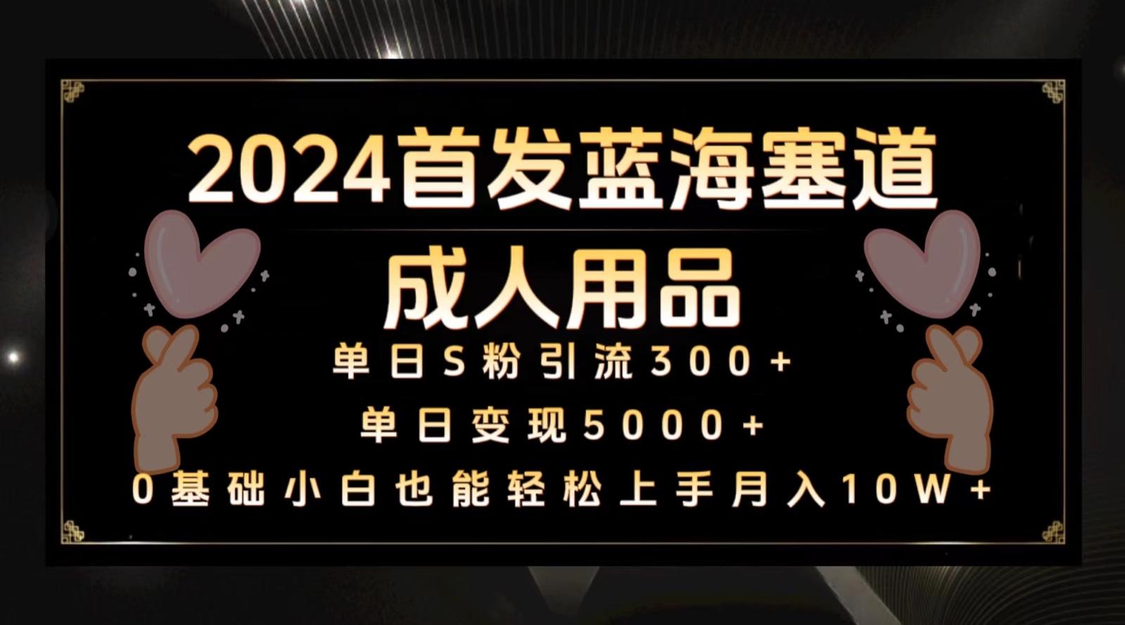 2024首发蓝海塞道成人用品，月入10W+保姆教程-优创项目网
