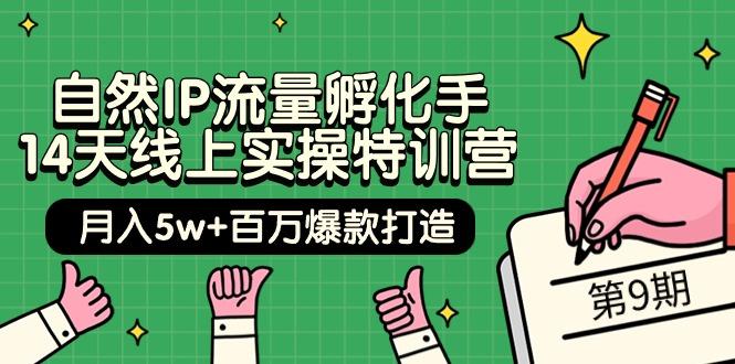 (9881期)自然IP流量孵化手 14天线上实操特训营【第9期】月入5w+百万爆款打造 (74节)-优创项目网