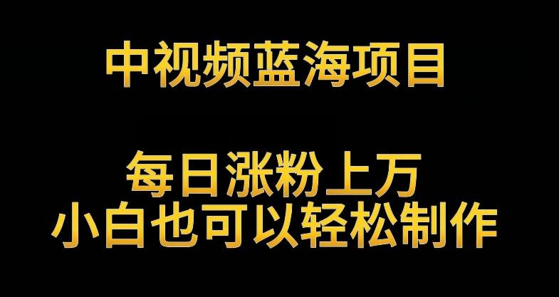 中视频蓝海项目，解读英雄人物生平，每日涨粉上万，小白也可以轻松制作，月入过万不是梦【揭秘】-优创项目网