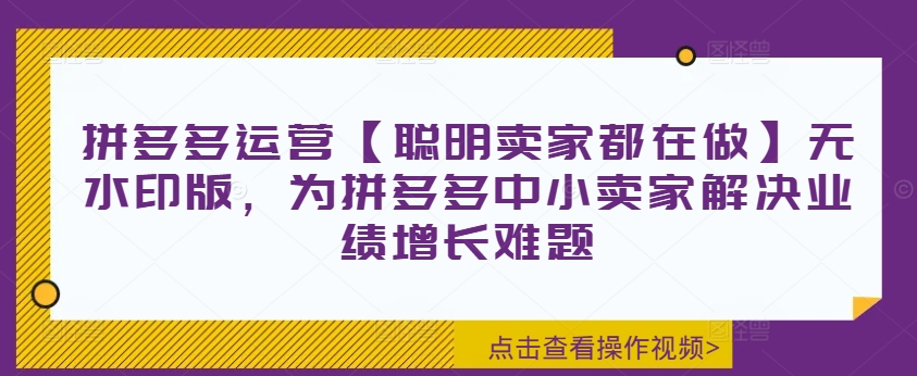 拼多多运营【聪明卖家都在做】无水印版，为拼多多中小卖家解决业绩增长难题-优创项目网