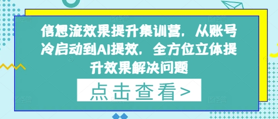 信息流效果提升集训营，从账号冷启动到AI提效，全方位立体提升效果解决问题-优创项目网