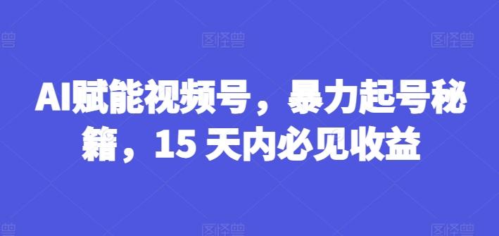 AI赋能视频号，暴力起号秘籍，15 天内必见收益【揭秘】-优创项目网