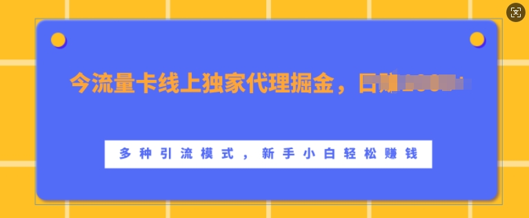 流量卡线上独家代理掘金，日入1k+ ，多种引流模式，新手小白轻松上手【揭秘】-优创项目网