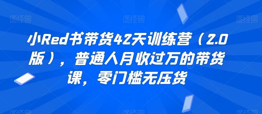 小Red书带货42天训练营(2.0版)，普通人月收过万的带货课，零门槛无压货-优创项目网