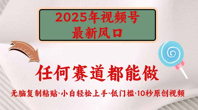 2025年视频号新风口，低门槛只需要无脑执行-优创项目网