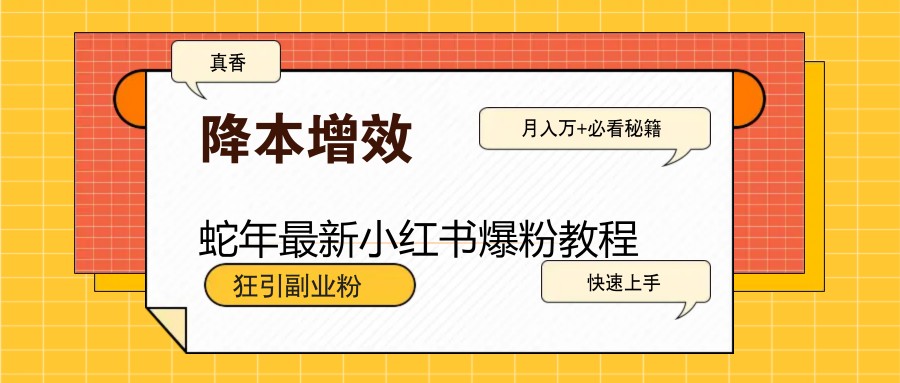 蛇年最新小红书爆粉教程，狂引副业粉，月入万+必看-优创项目网