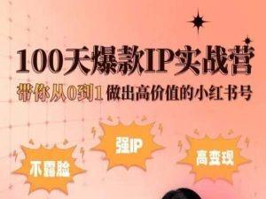 小红书100天爆款IP实战营，带你从0到1做出高价值的小红书号-优创项目网