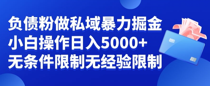 负债粉私域暴力掘金，小白操作入5000，无经验限制，无条件限制【揭秘】-优创项目网