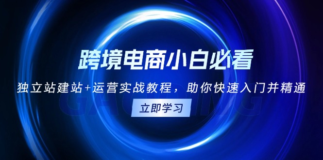 跨境电商小白必看！独立站建站+运营实战教程，助你快速入门并精通-优创项目网