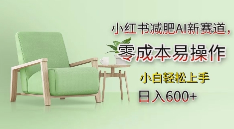 小红书减肥AI新赛道，零成本易操作，日入多张，小白轻松上手【揭秘】-优创项目网