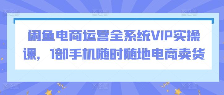 闲鱼电商运营全系统VIP实操课，1部手机随时随地电商卖货-优创项目网