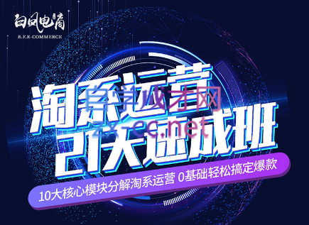 淘系运营21天速成班(更新24年5月)-优创项目网