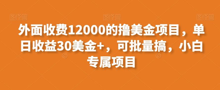 外面收费12000的撸美金项目，单日收益30美金+，可批量搞，小白专属项目-优创项目网