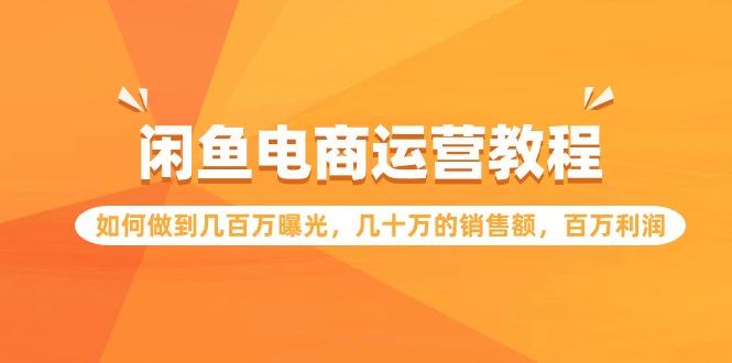 (9560期)闲鱼电商运营教程：如何做到几百万曝光，几十万的销售额，百万利润-优创项目网