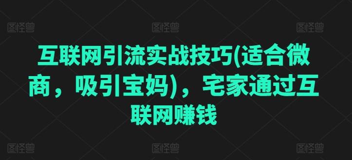 互联网引流实战技巧(适合微商，吸引宝妈)，宅家通过互联网赚钱-优创项目网
