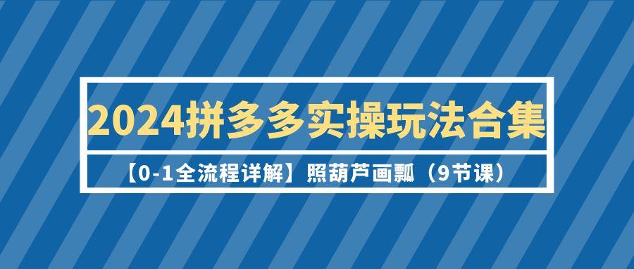 (9559期)2024拼多多实操玩法合集【0-1全流程详解】照葫芦画瓢(9节课)-优创项目网