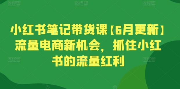 小红书笔记带货课【6月更新】流量电商新机会，抓住小红书的流量红利-优创项目网