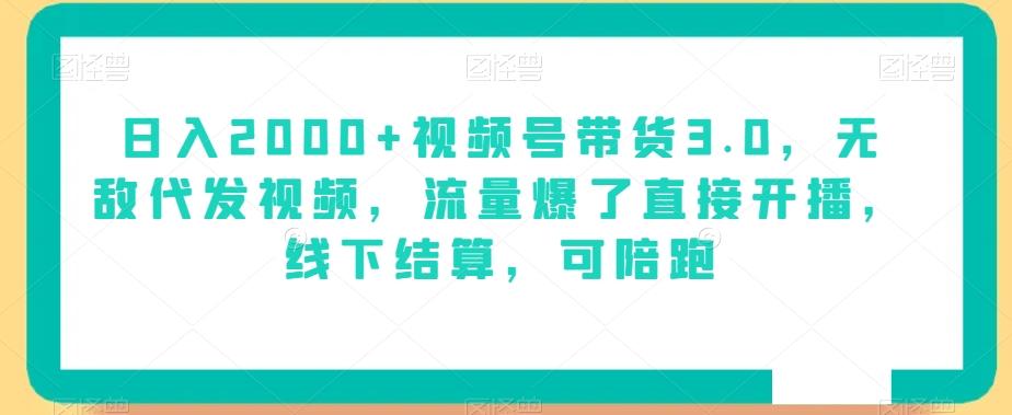 日入2000+视频号带货3.0，无敌代发视频，流量爆了直接开播，线下结算，可陪跑-优创项目网