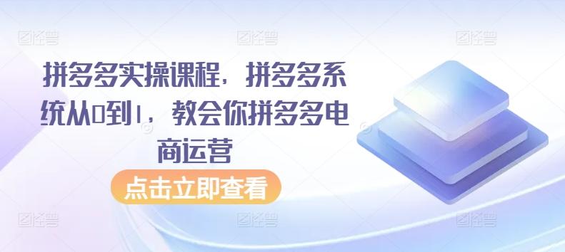 拼多多实操课程，拼多多系统从0到1，教会你拼多多电商运营-优创项目网
