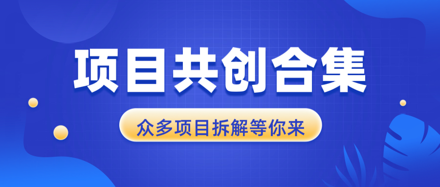 项目共创合集，从0-1全过程拆解，让你迅速找到适合自已的项目-优创项目网