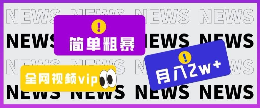 简单粗暴零成本，高回报，全网视频VIP掘金项目，月入2万＋【揭秘】-优创项目网