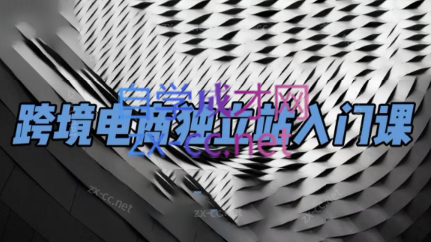 团长·跨境电商独立站入门课(2小时精华)-优创项目网