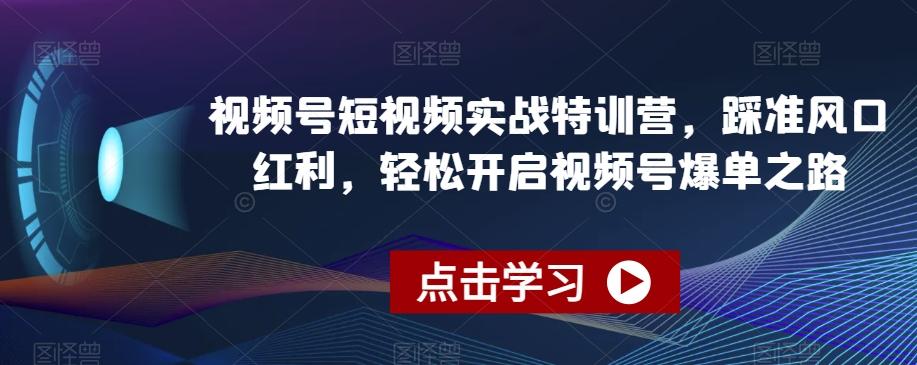 视频号短视频实战特训营，踩准风口红利，轻松开启视频号爆单之路-优创项目网