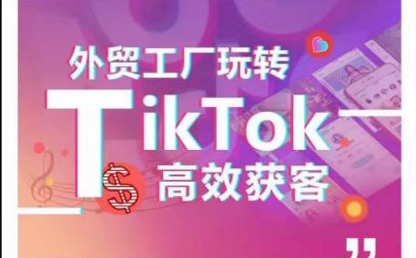 外贸工厂玩转TikTok高效获客，多种引流方式与账号定位技巧，拆解爆款短视频打造成功案例-优创项目网