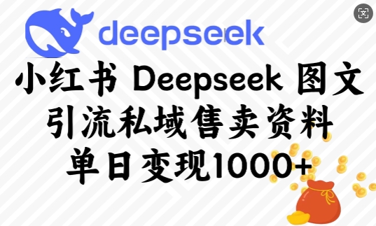 小红书Deepseek图文引流私域售卖资料，单日变现多张-优创项目网