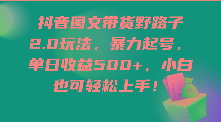 (9790期)抖音图文带货野路子2.0玩法，暴力起号，单日收益500+，小白也可轻松上手！-优创项目网