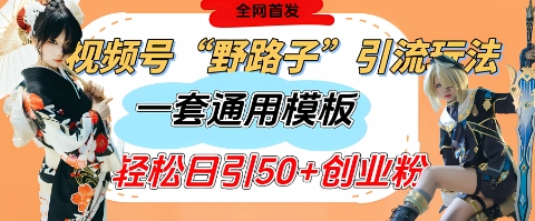 视频号“野路子”玩法，评论区疯狂截流，一套模板单日单号引流50+创业粉-优创项目网