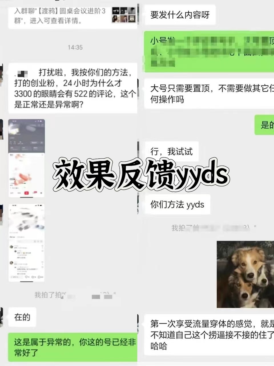 图片[3]-抖音小红书视频号全平台引流打法，全自动引流日引2000+精准客户-优创项目网