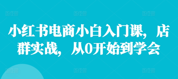 小红书电商小白入门课，店群实战，从0开始到学会-优创项目网