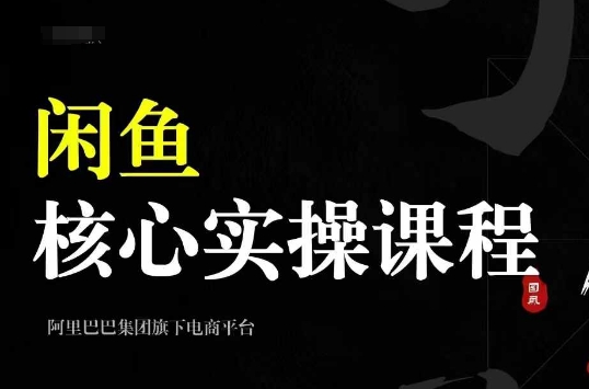 2024闲鱼核心实操课程，从养号、选品、发布、销售，教你做一个出单的闲鱼号-优创项目网