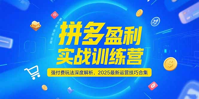 拼多多盈利实战训练营，强付费玩法深度解析，2025运营技巧合集-更新6月-优创项目网