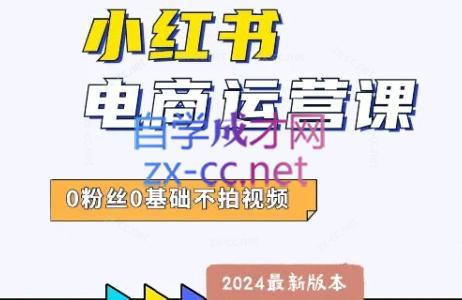 达哥·小红书电商运营(2024版)-优创项目网
