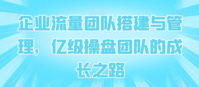 企业流量团队搭建与管理，亿级操盘团队的成长之路-优创项目网