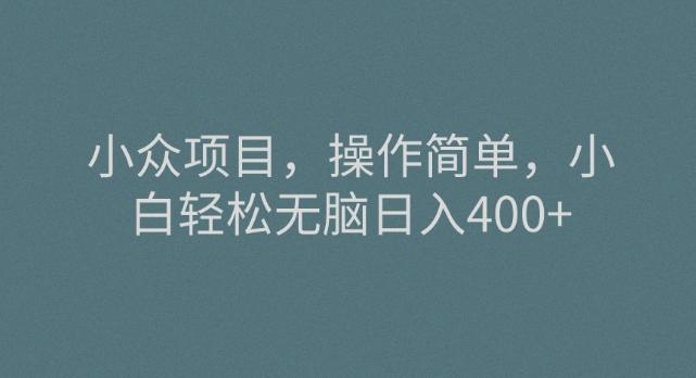 小众项目，操作简单，小白轻松无脑日入400+-优创项目网