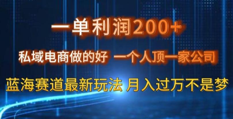 一单利润200私域电商做的好，一个人顶一家公司蓝海赛道最新玩法【揭秘】-优创项目网