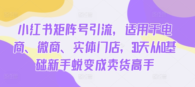 小红书矩阵号引流，适用于电商、微商、实体门店，30天从0基础新手蜕变成卖货高手-优创项目网