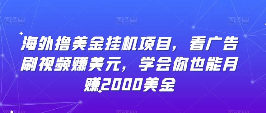 海外撸美金挂机项目，看广告刷视频赚美元，学会你也能月赚2000美金-优创项目网
