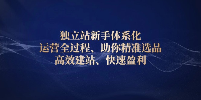 独立站新手体系化 运营全过程，助你精准选品、高效建站、快速盈利-优创项目网