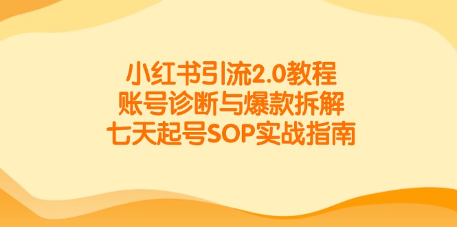 小红书引流2.0教程，账号诊断与爆款拆解，七天起号SOP实战指南-优创项目网